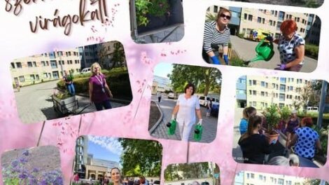 Virágosították az SBO előtti területet