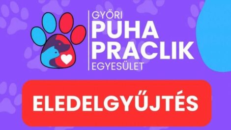 A bevásárlólistára felírhatunk egy apróságot?